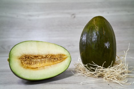 MELON VERT