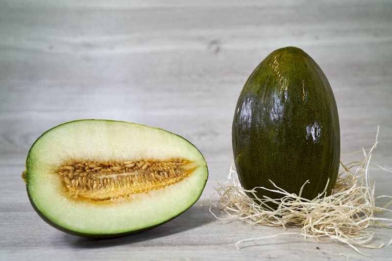 MELON VERT