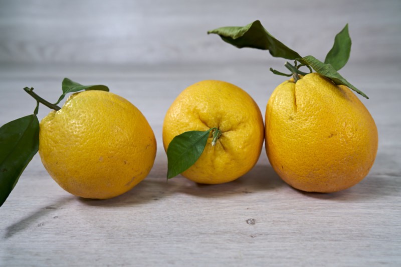 ORANGE FEUILLE DE SICILE