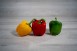 POIVRON X3 COULEURS