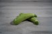 COURGETTE BLANCHE