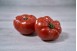 TOMATE MARMANDE
