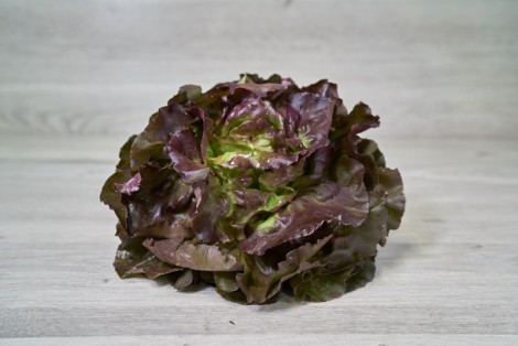SALADE PETITE ROUGETTE