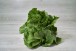 ROMAINE EN SACHET PAR 2