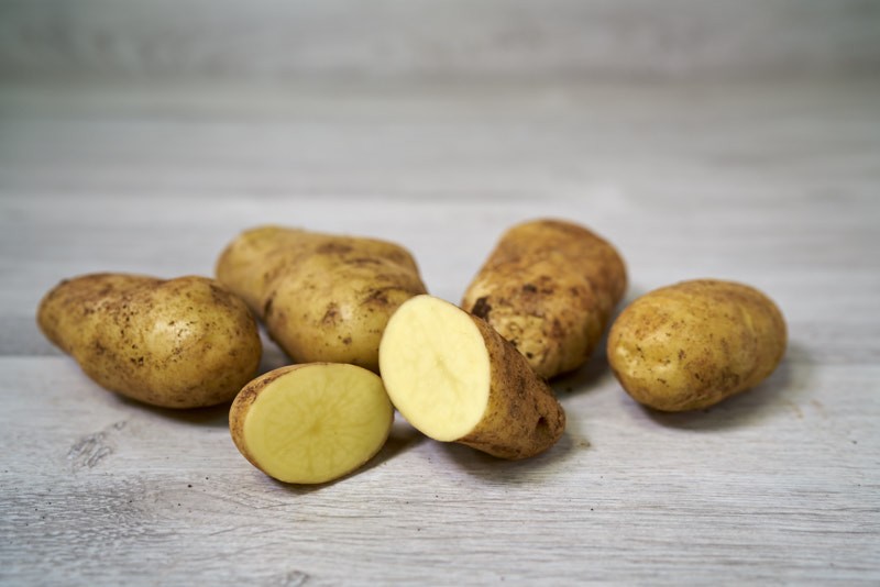 POMME DE TERRE SPUNTA