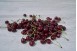 CERISE ROUGE