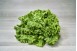 COLIS DE SALADES  PAR 6