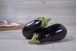 COLIS AUBERGINES EN 5 KG