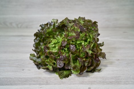 COLIS SALADE CHENE ROUGE PAR 6