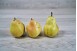 POIRE LOUISE BONNE
