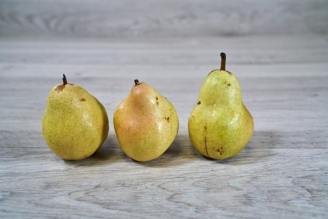 POIRE LOUISE BONNE