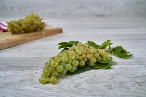 RAISIN BLANC CHASSELAT
