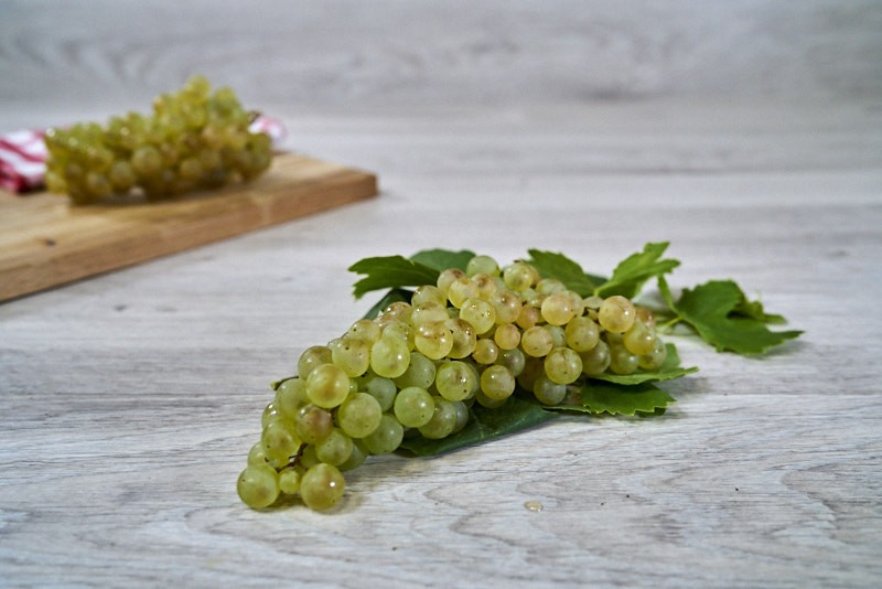 RAISIN BLANC CHASSELAT