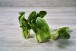 CHOU-BLETTE PAK CHOI
