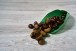 CHATAIGNE OU MARRON COMESTIBLE
