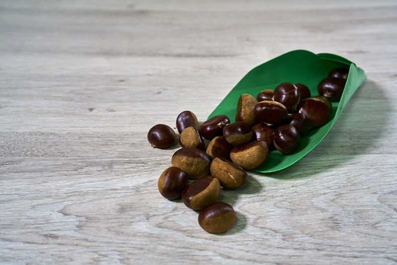 CHATAIGNE OU MARRON COMESTIBLE