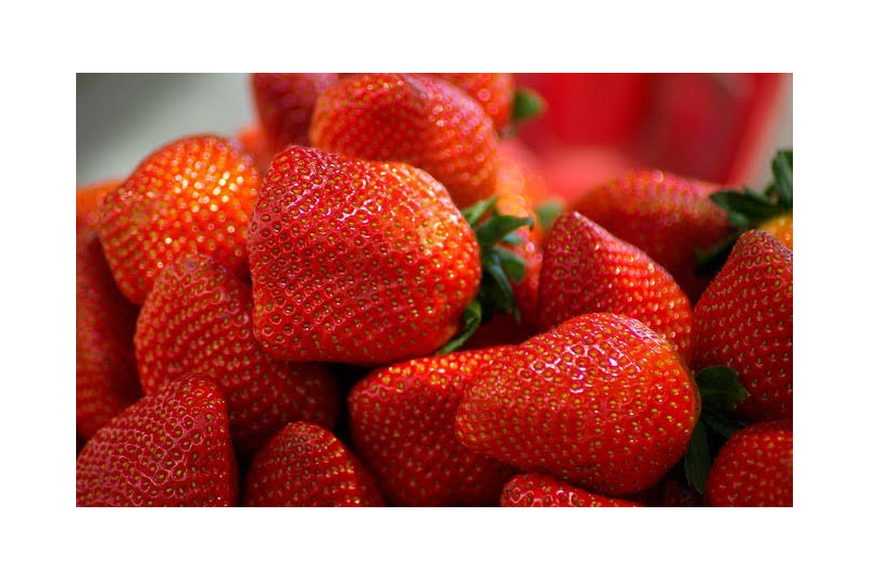 FRAISE EN  1 KG