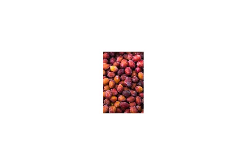 PRUNE D'ENTE
