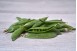 PETIT POIS FRAIS