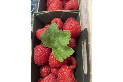 Framboise