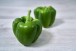Poivron vert