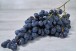 Raisin Muscat de Hambourg