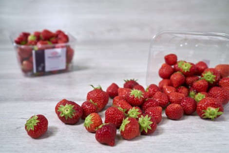 FRAISE ELSANTA