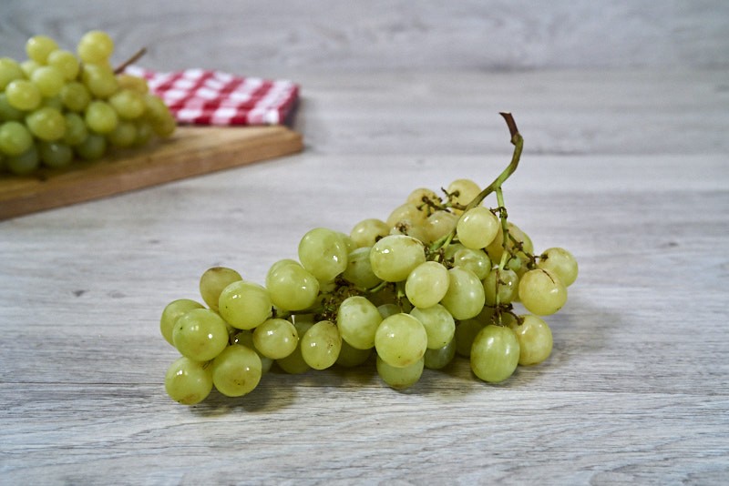 RAISIN ITALIA BLANC