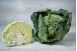 CHOU VERT FRISEE