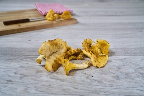 CHAMPIGNON GIROLLE