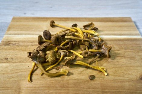 CHAMPIGNON  CHANTERELLE