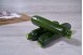 COURGETTE LONGUE