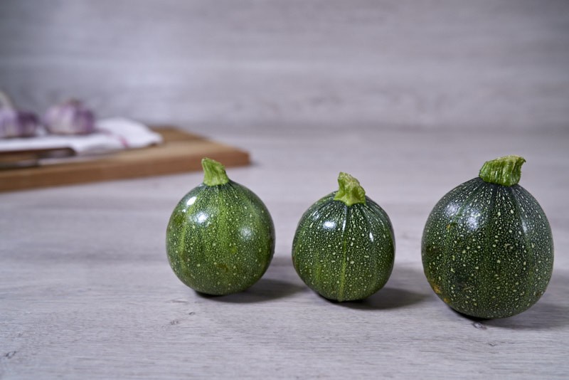COURGETTE RONDE