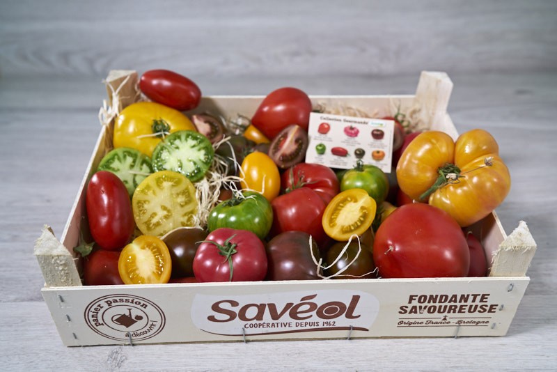 TOMATE SAVEUR MIX