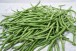 HARICOT VERT FIN