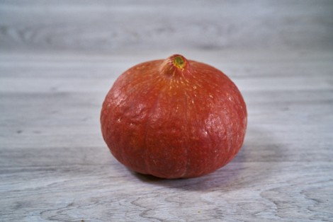 COURGE POTIMARRON