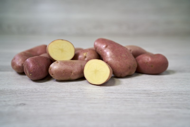 POMME DE TERRE ROUGE A CHAIR BLANCHE CHERIE