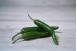 PIMENT VERT