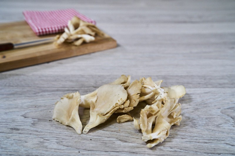 CHAMPIGNON PLEUROTE
